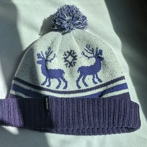 Patagonia Powder town Beanie